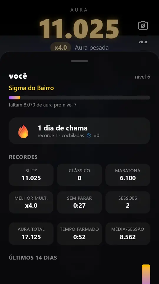 Perfil com nível, chama diária e recordes por modo